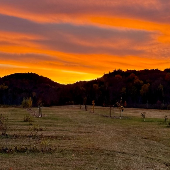 Meet Hal - Picture 15 of 16